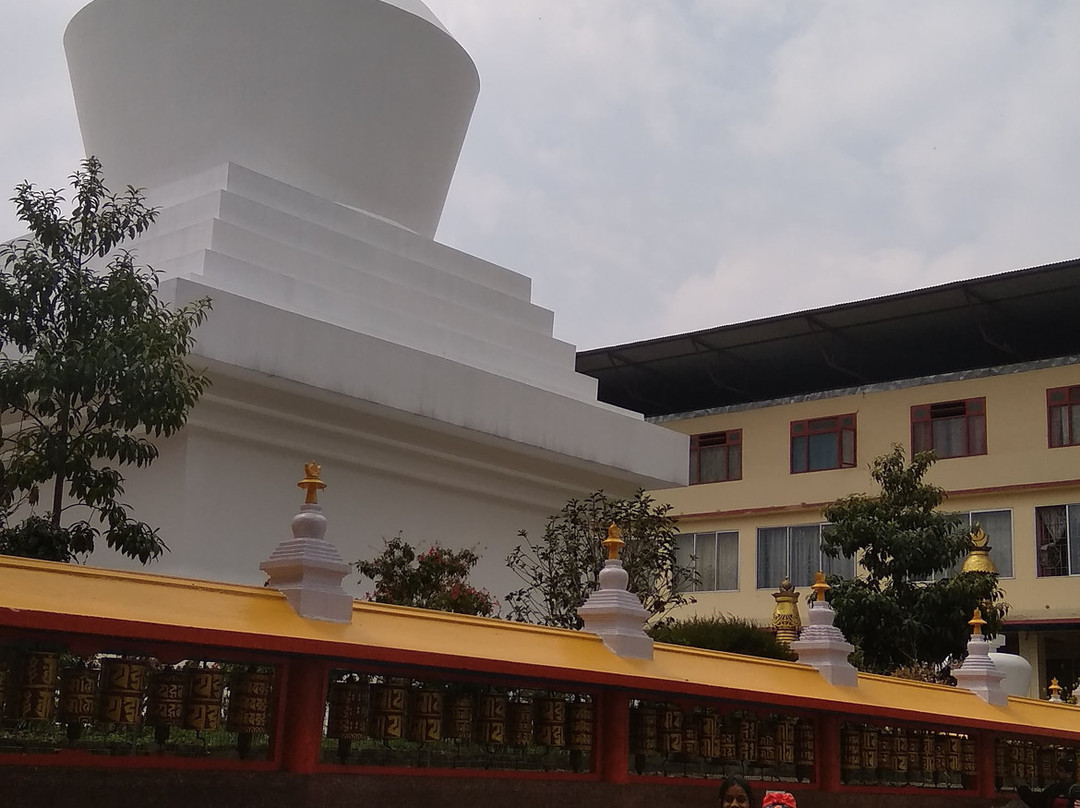 Do Drul Chorten Stupa景点图片