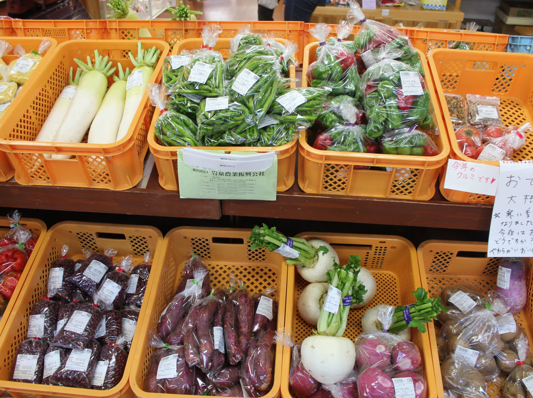 Michi-no-Eki Iwaizumi-岩泉町必去景点