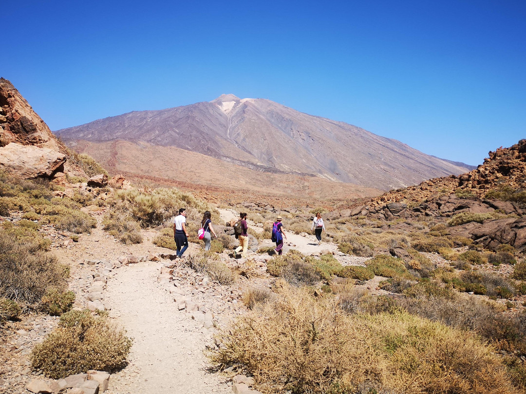 Tenerife Stars景点图片
