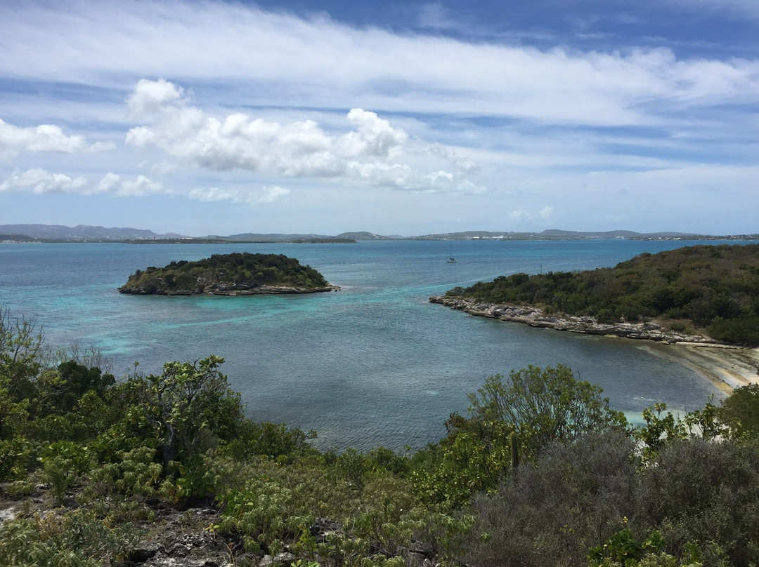 Great Bird Island-圣 约翰必去景点