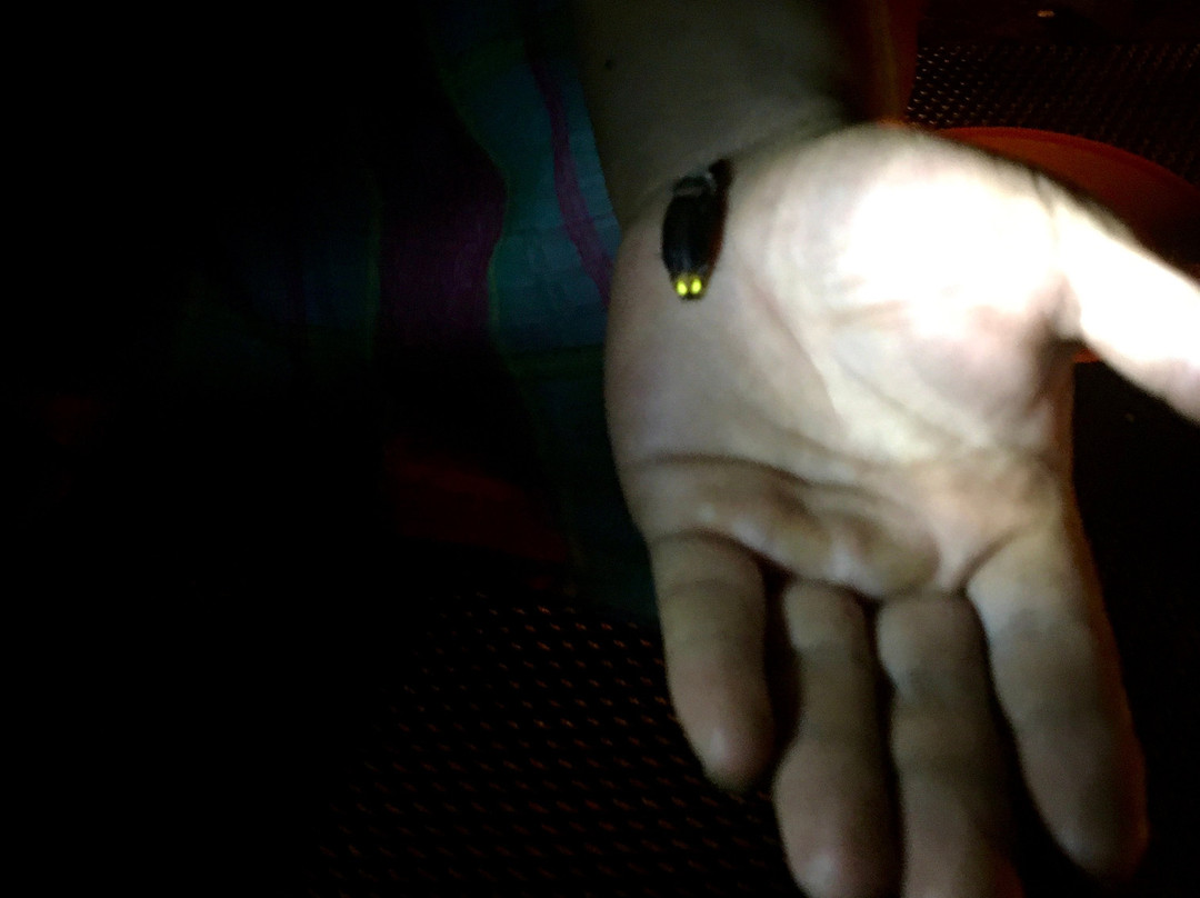 Our Jungle Trekking with Safar Ketambe-Ketambe必去景点