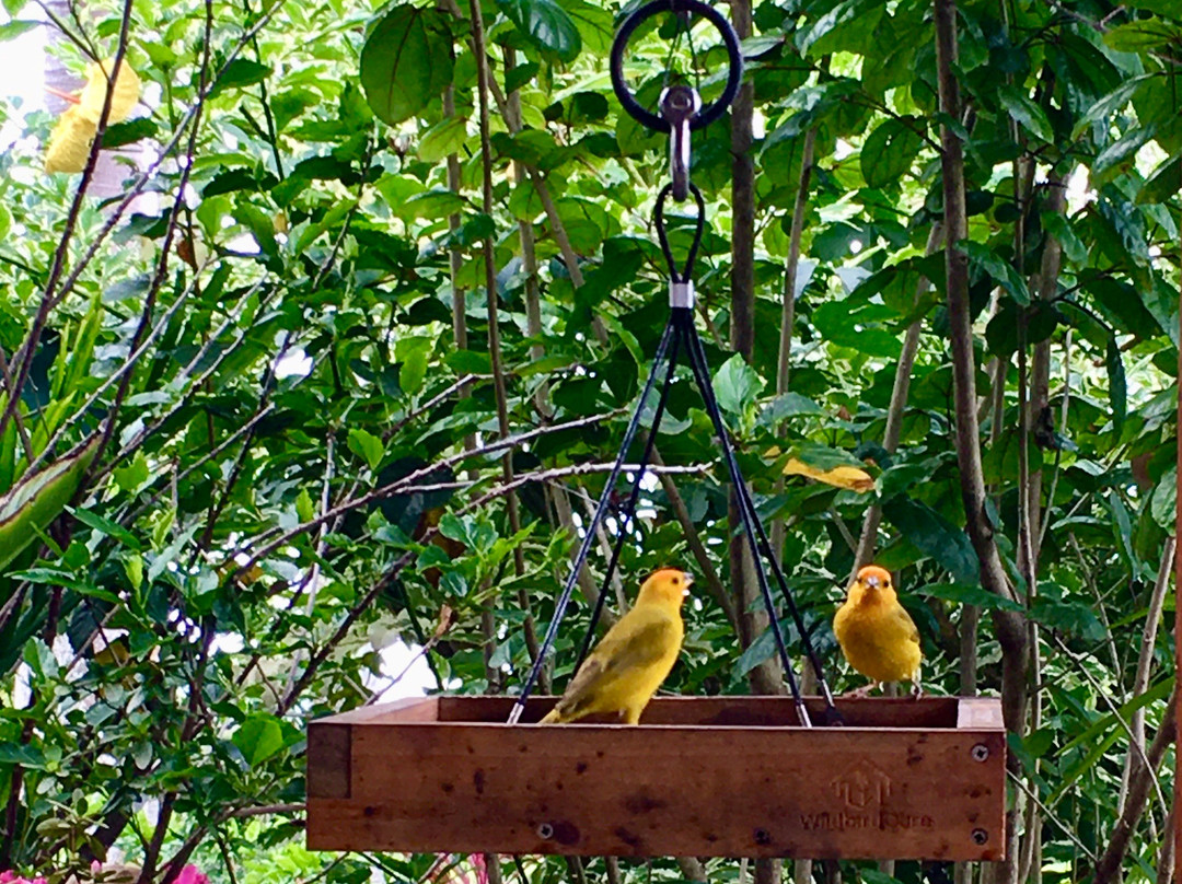 Kane Plantation Guesthouse主图