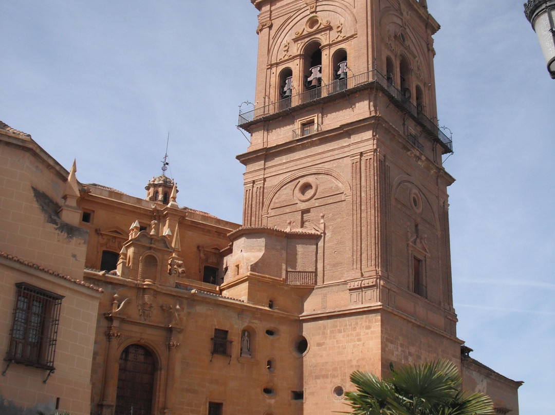 Guadix Cathedral景点图片