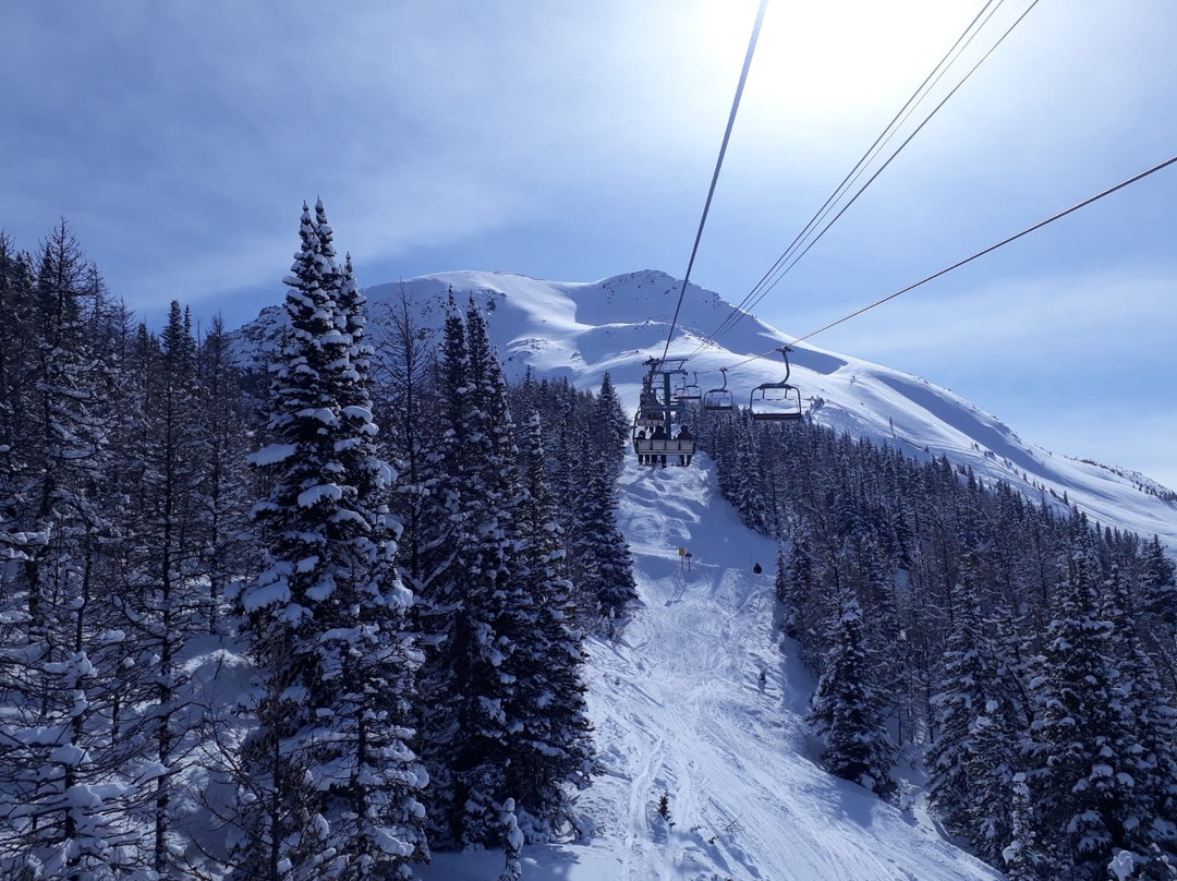 Vagabond Lodge主图