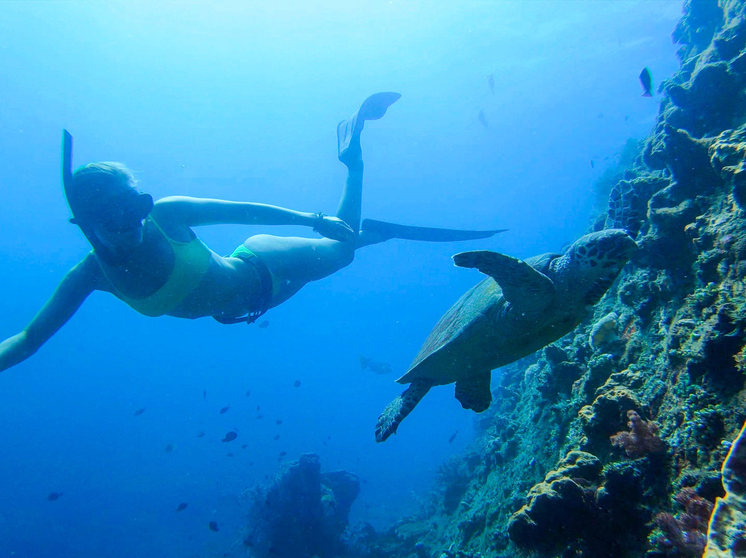 Fathom Freedive Bali-Bunutan必去景点