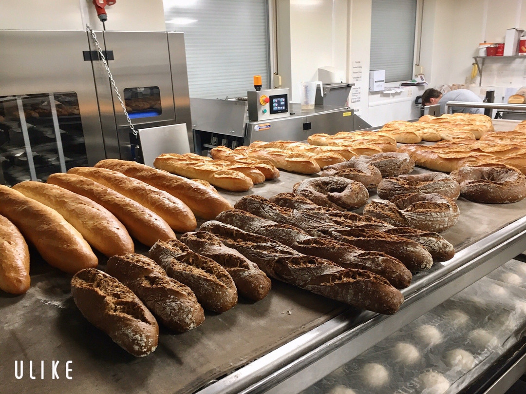 Moorsel België-Moorsel必去景点