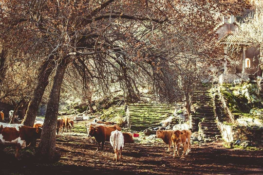 Ruta Dehesa de Camarate-Lugros必去景点