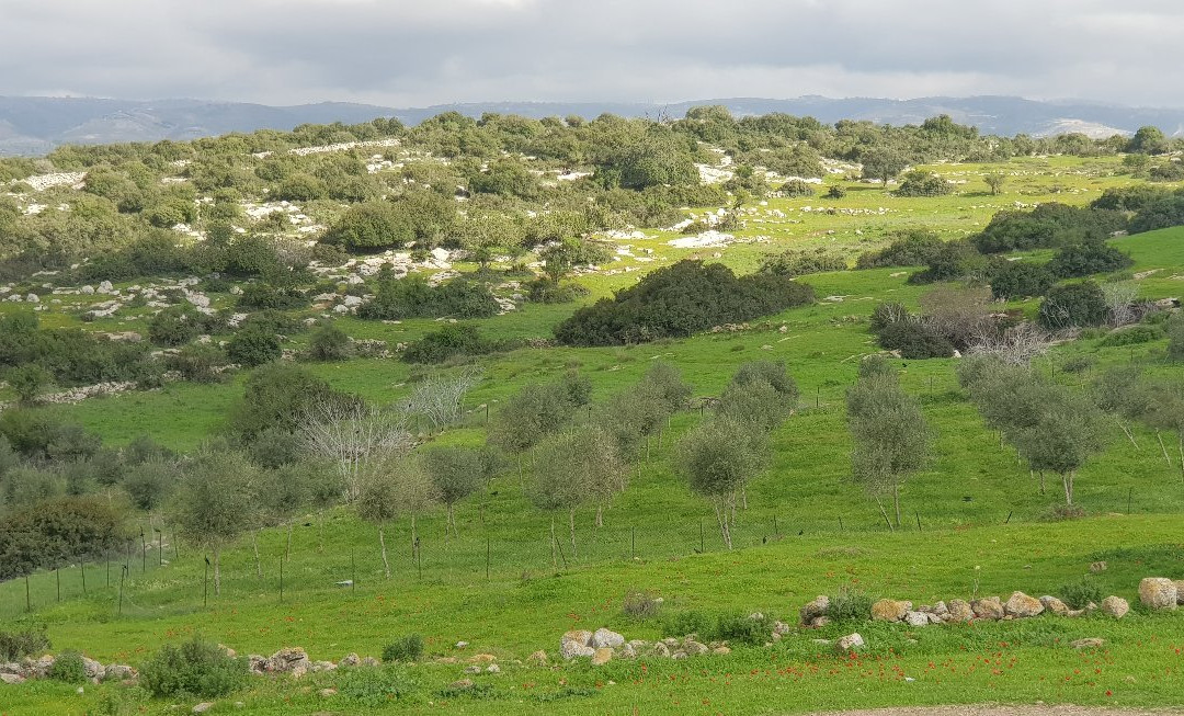 Adullam Grove Nature Reserve-Beit Shemesh必去景点