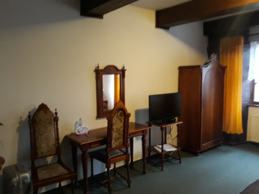 Hotel Zlaty kohout-官方