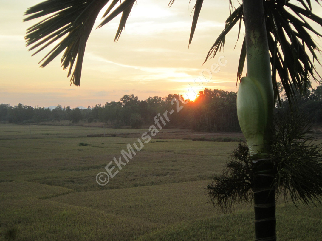 Ibbani Homestay主图