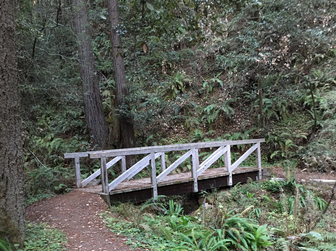 Salt Point State Park景点图片