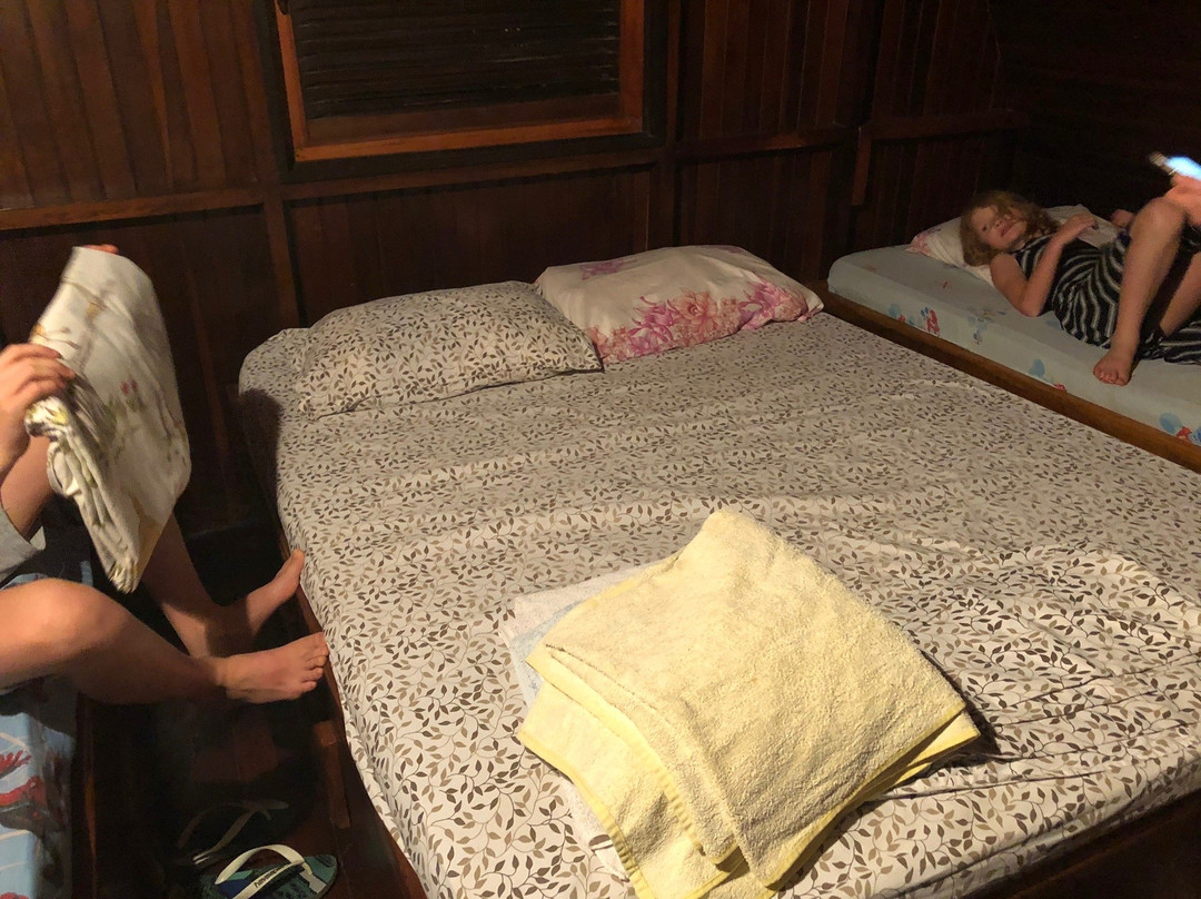 Howler Monkey Hotel主图