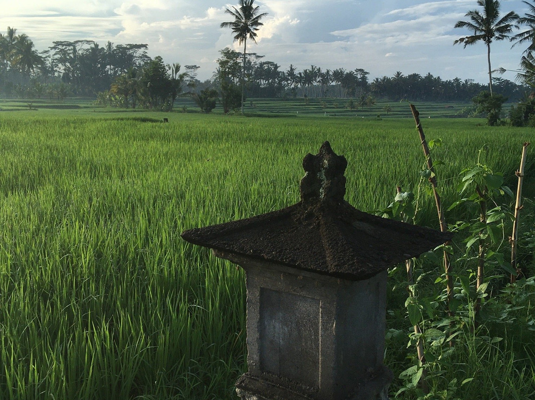 巴厘岛欧尼耶别墅主图