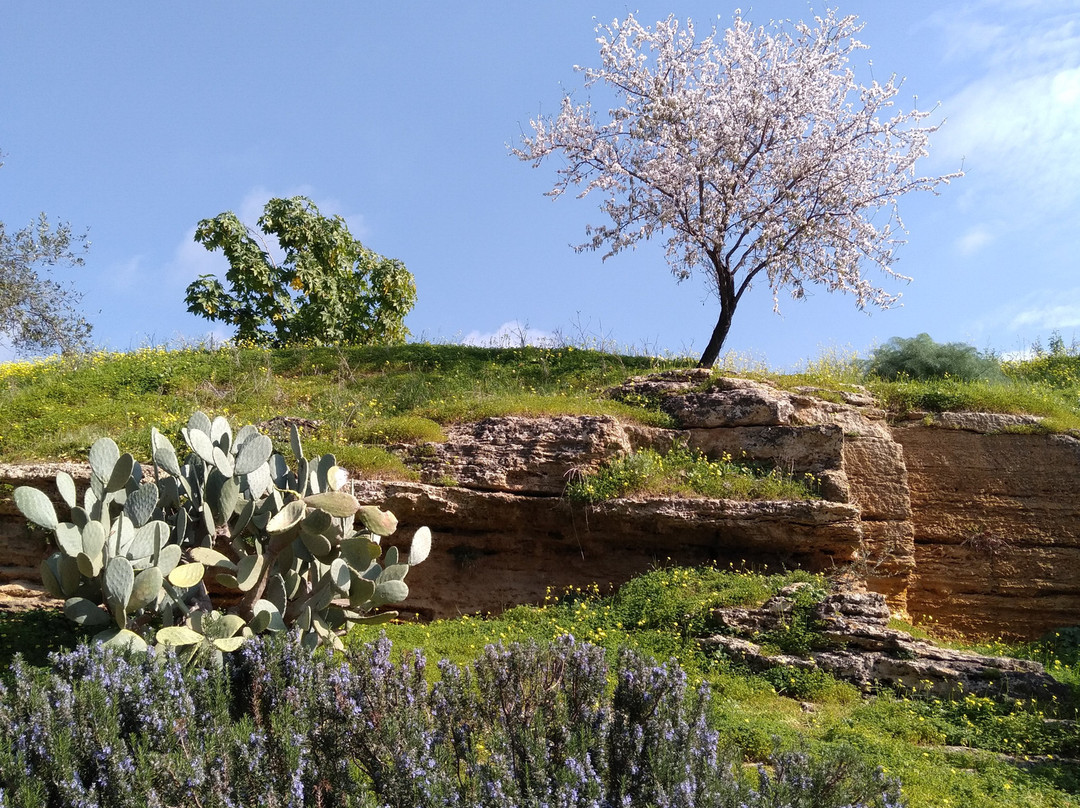 Giardino della Kolymbethra景点图片