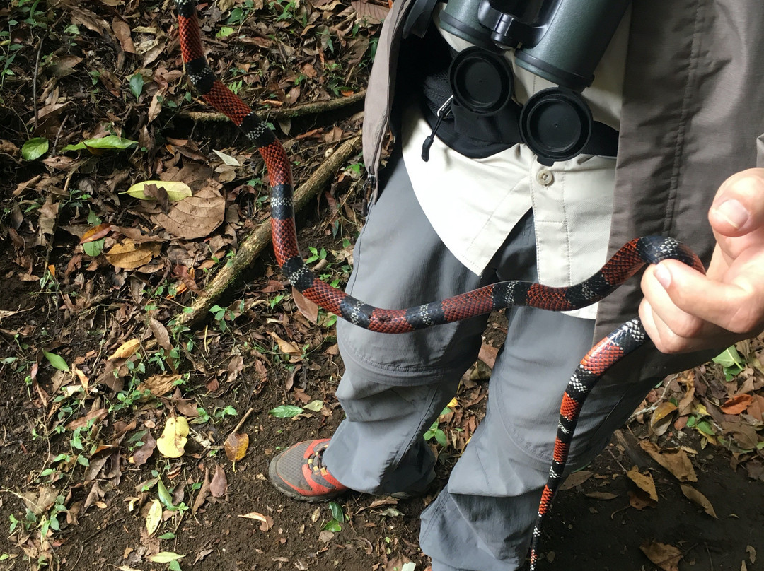 Costa Rica Wáköö Tours-哥斯达黎加安东尼奥国家公园必去景点