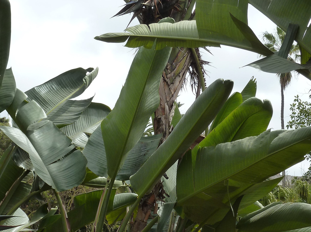 Jardin D'essais-拉巴特必去景点