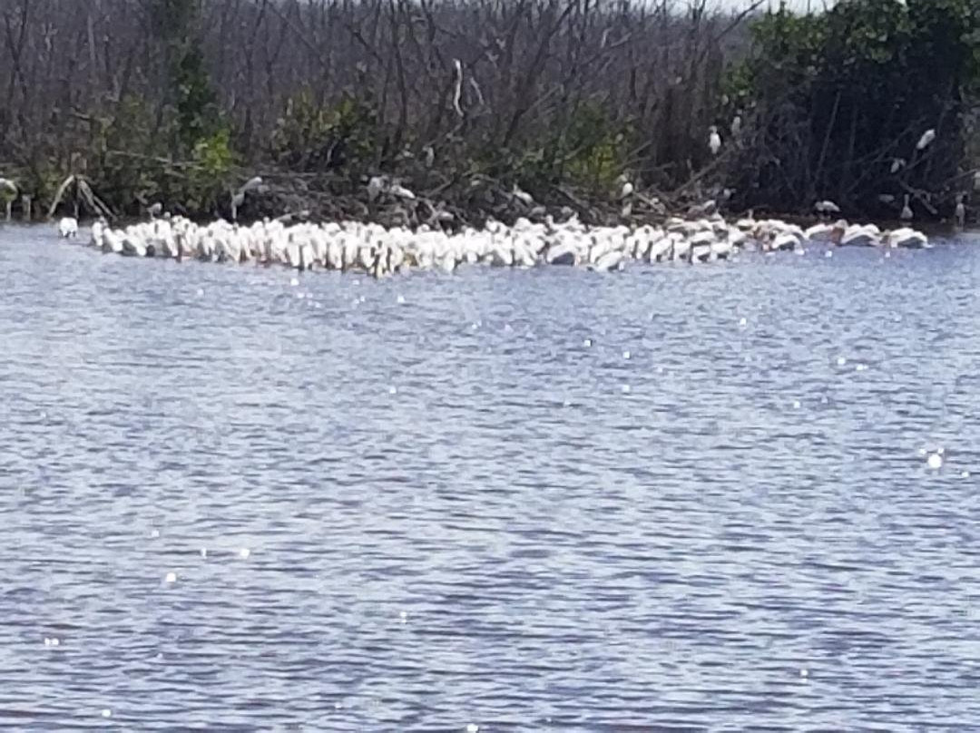 Nine Mile Pond Canoe Trail-大沼泽国家公园必去景点