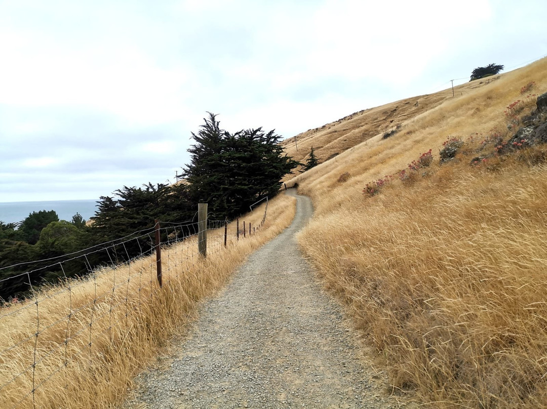 Taylors Mistake - Awaroa / Godley Head Walk景点图片
