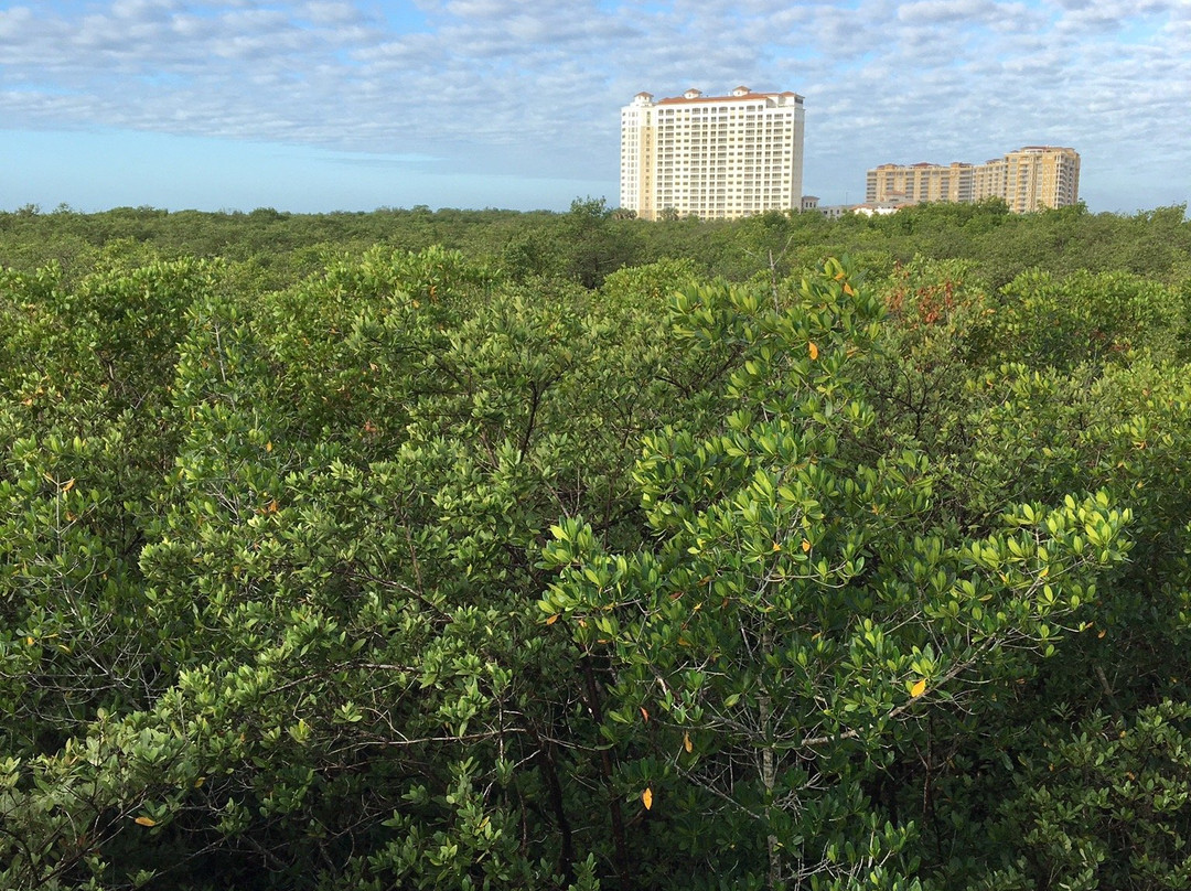 Rotary Park Environmental Center-开普科勒尔必去景点