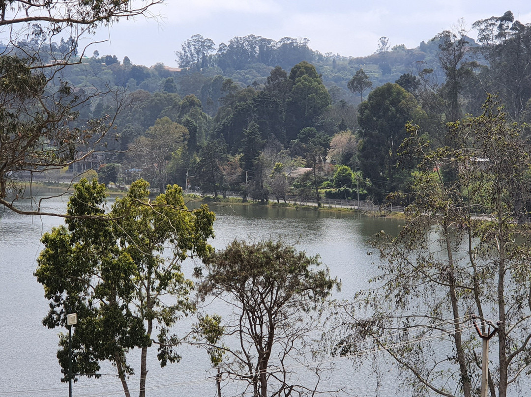 卡尔顿酒店主图