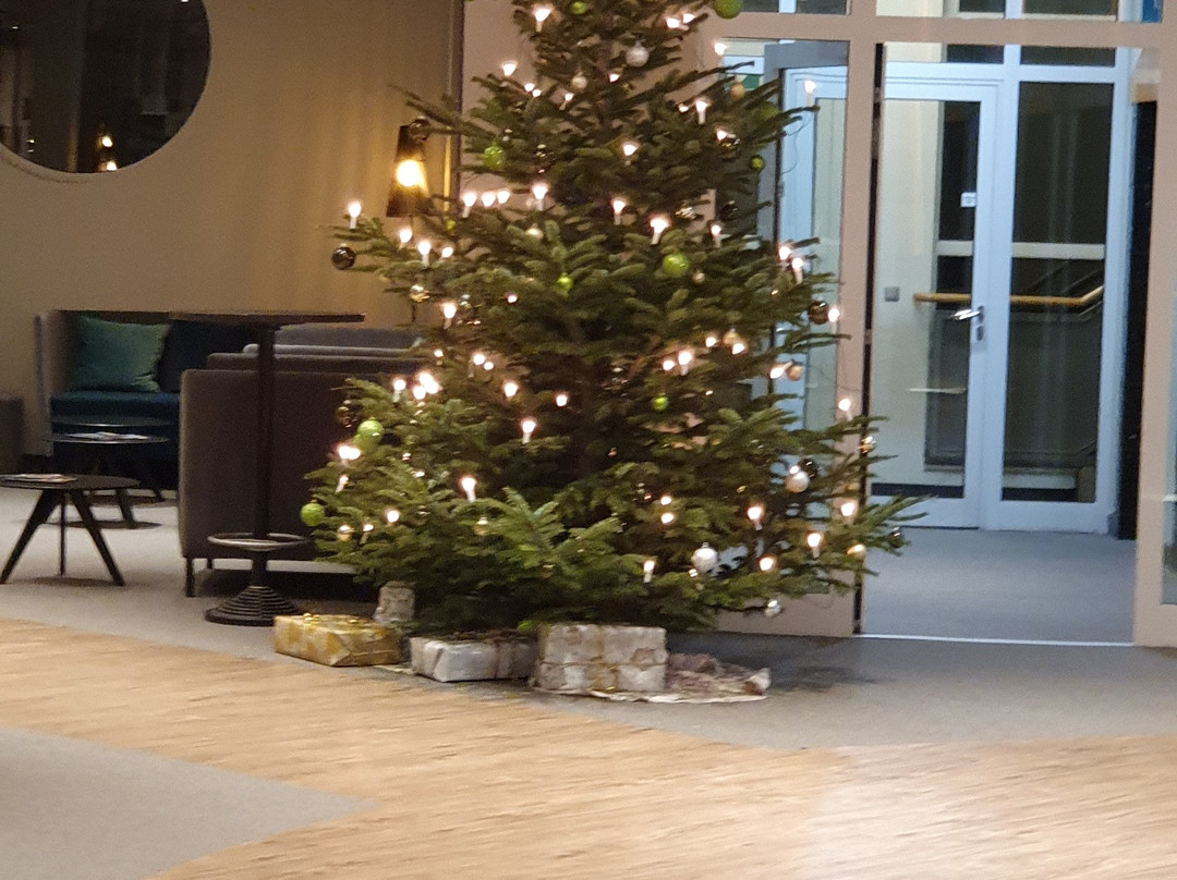 H+ Hotel Köln Hürth主图