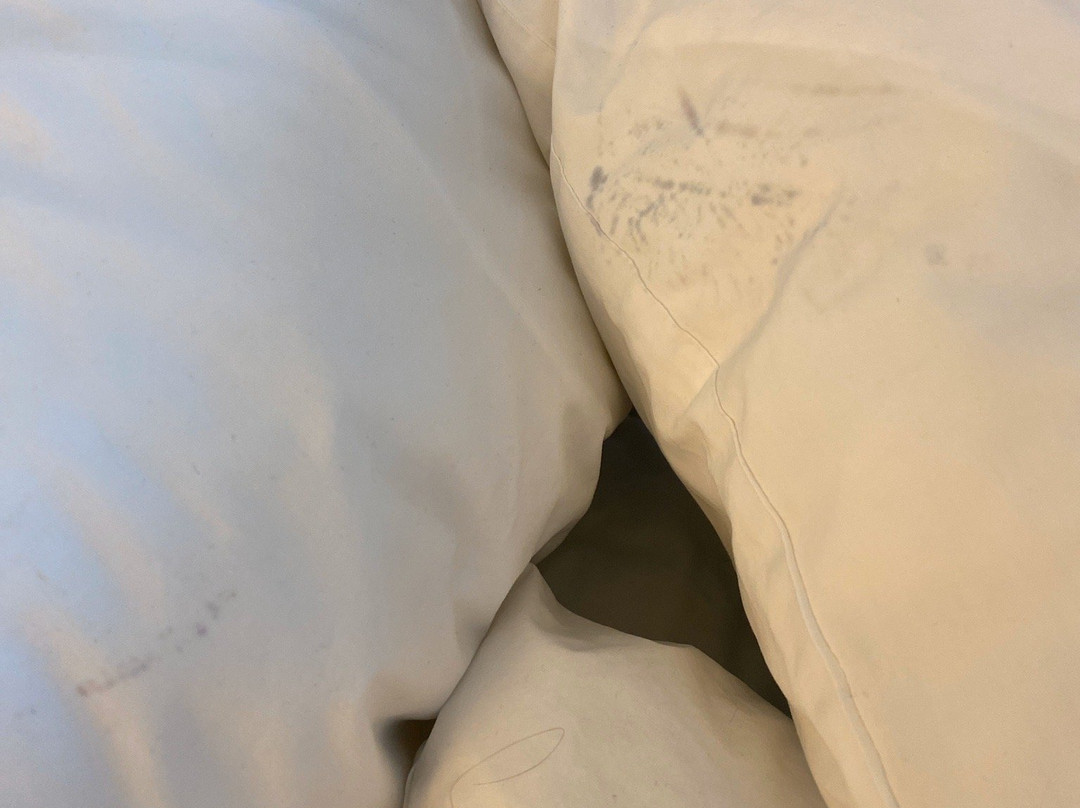 Hampton Inn Minneapolis/st. Paul-woodbury主图