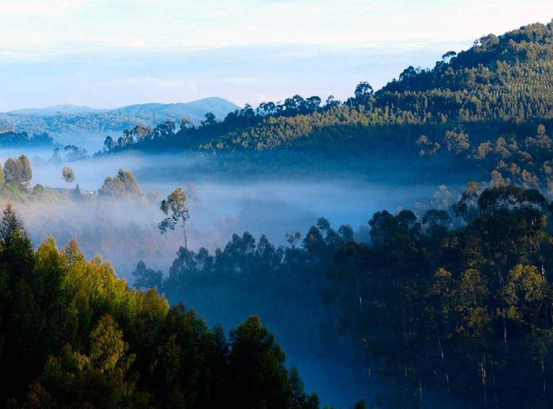 Rwanda Holidays-Kayonza必去景点