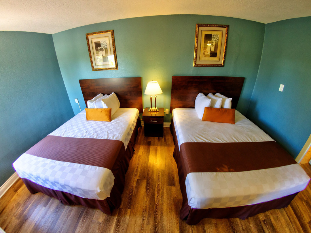 Palm Tropics Motel主图