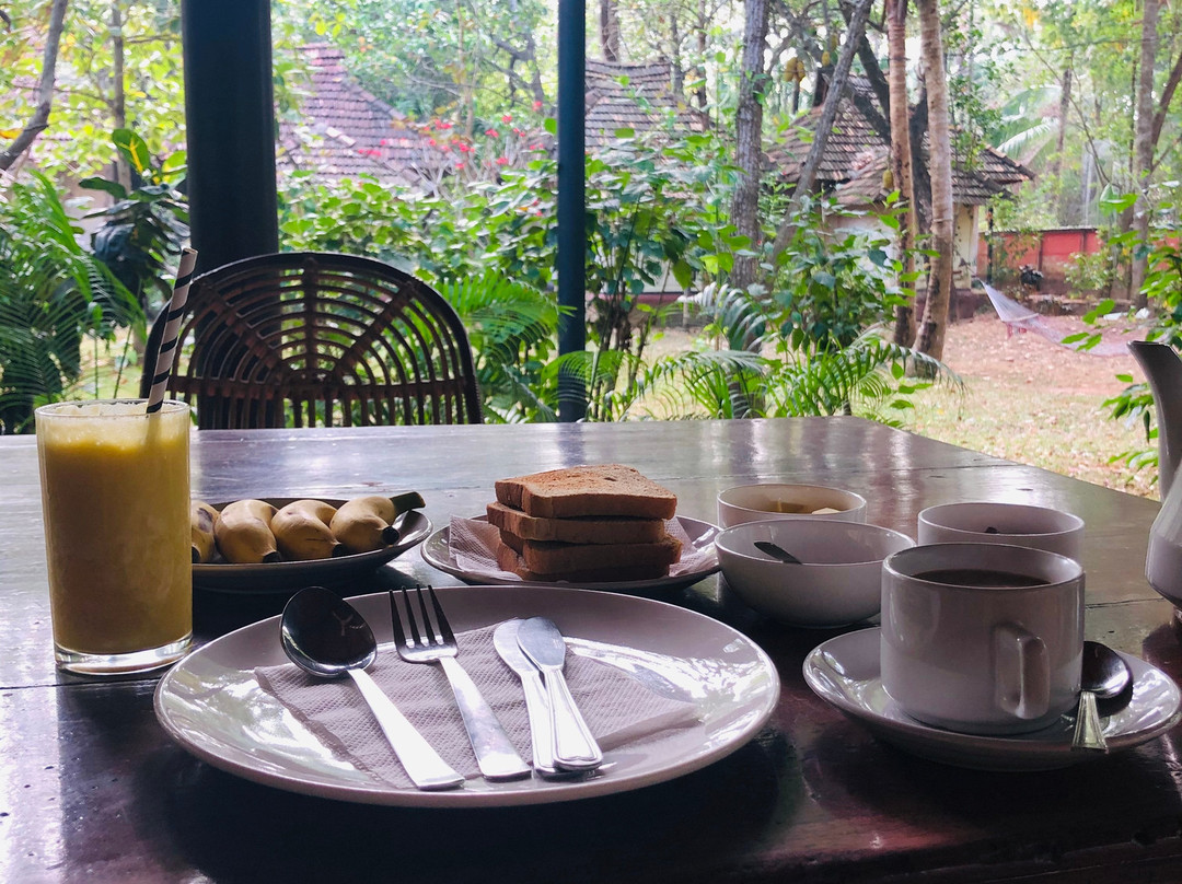 The Bohemian Masala主图