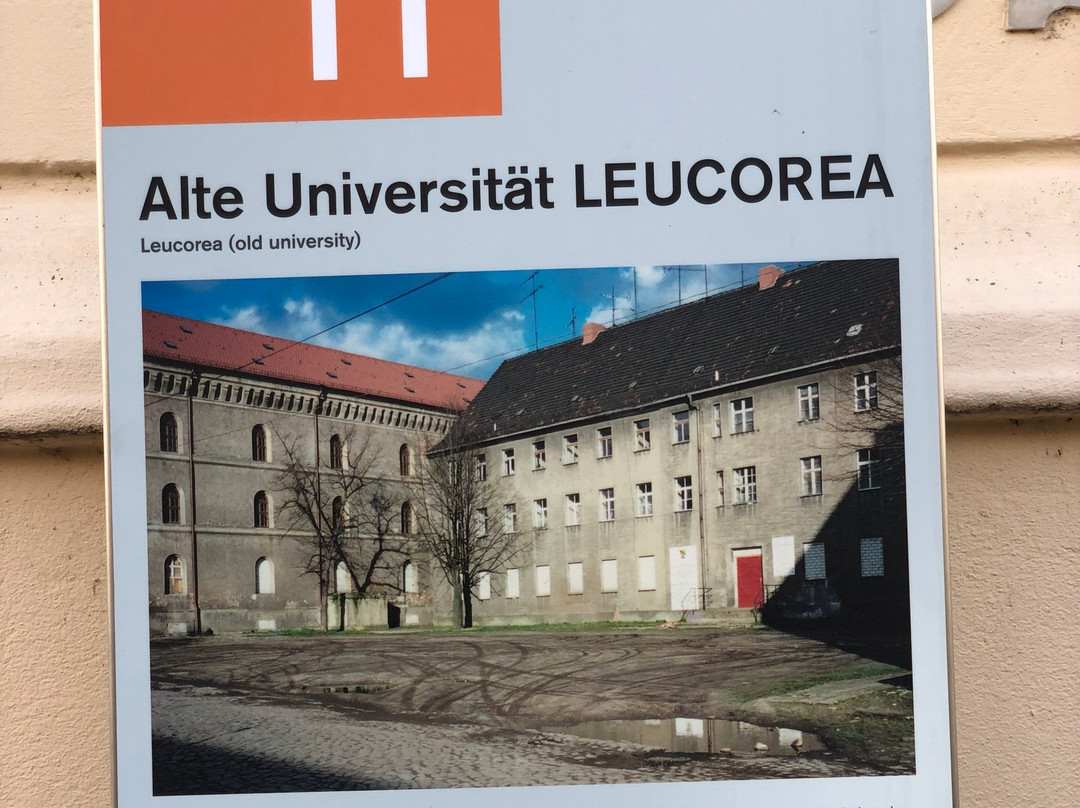 Die Stiftung Leocorea-威滕伯格必去景点