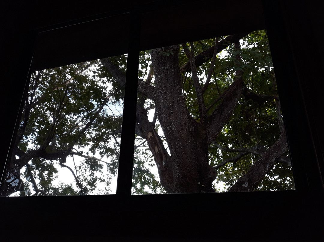 Hotel Luna Azul主图