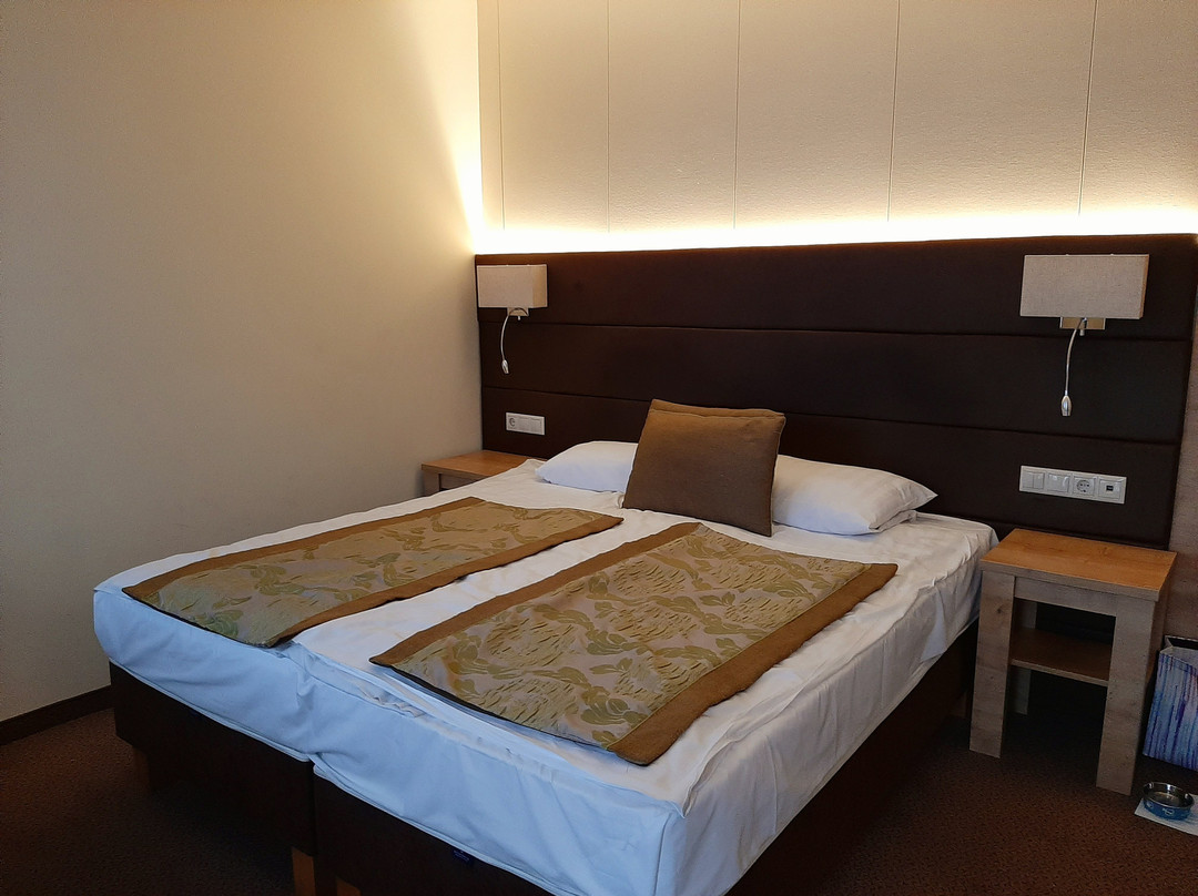 Hotel Honti主图