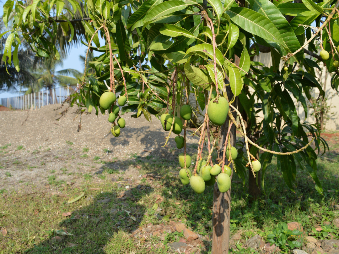 O'Nest by The Beach主图