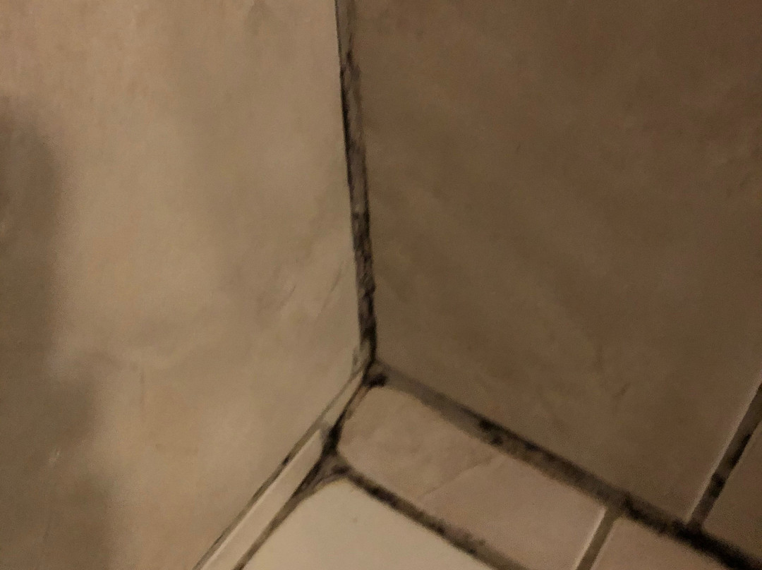 Black Swan Guest House主图