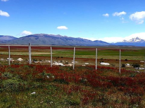 Lago Roca-埃尔卡拉法特必去景点