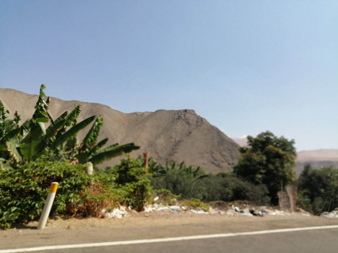 Museo Chiribaya-Ilo必去景点
