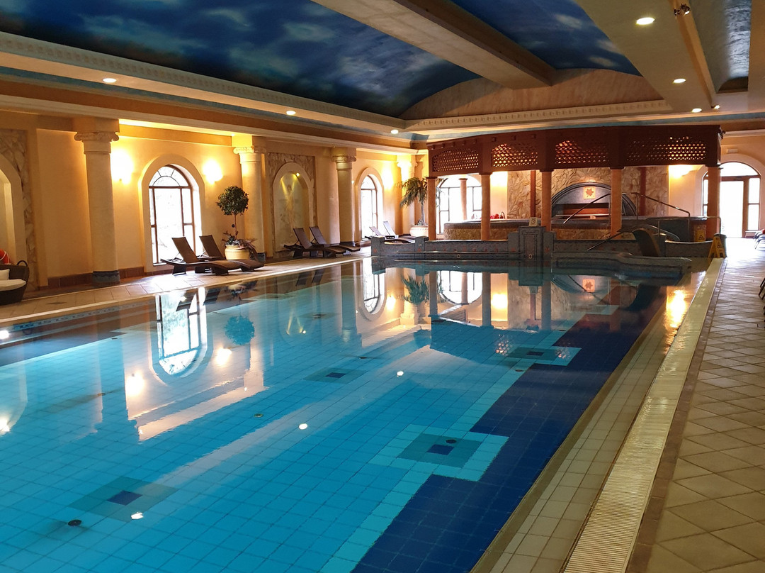 Jawor Spa Hotel主图