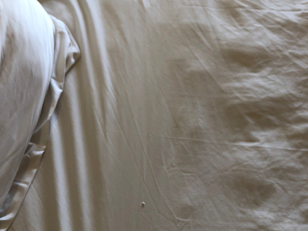 Sunsethouse Gilimeno主图