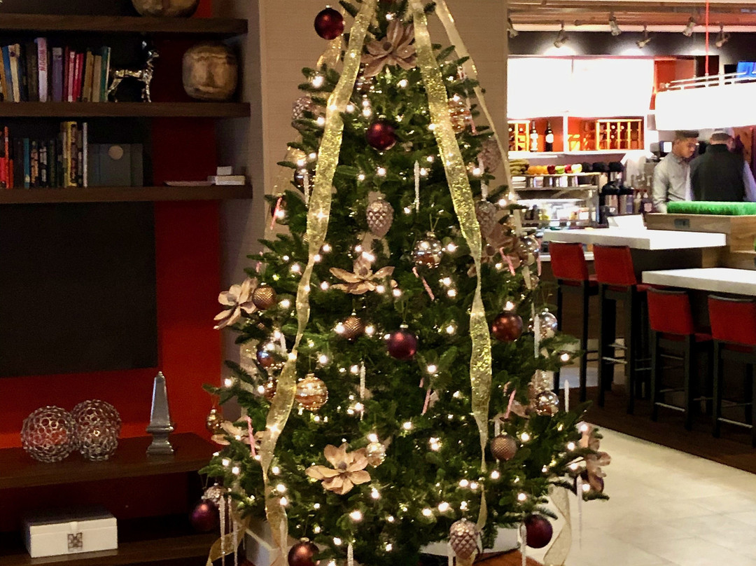 Courtyard by Marriott Westbury Long Island主图