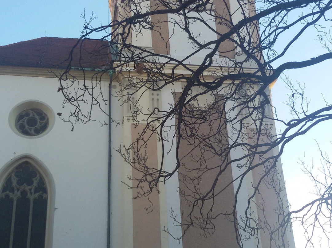 Maribor Cathedral (Church of St John the Baptist)-马里博尔必去景点