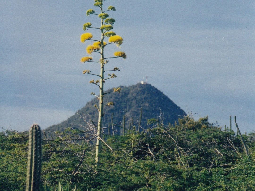 Hooiberg-奥腊涅斯塔德必去景点