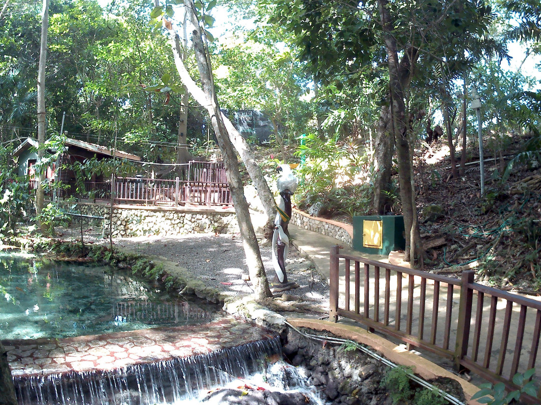 Travel Jamaica Trips-奥乔里奥斯必去景点