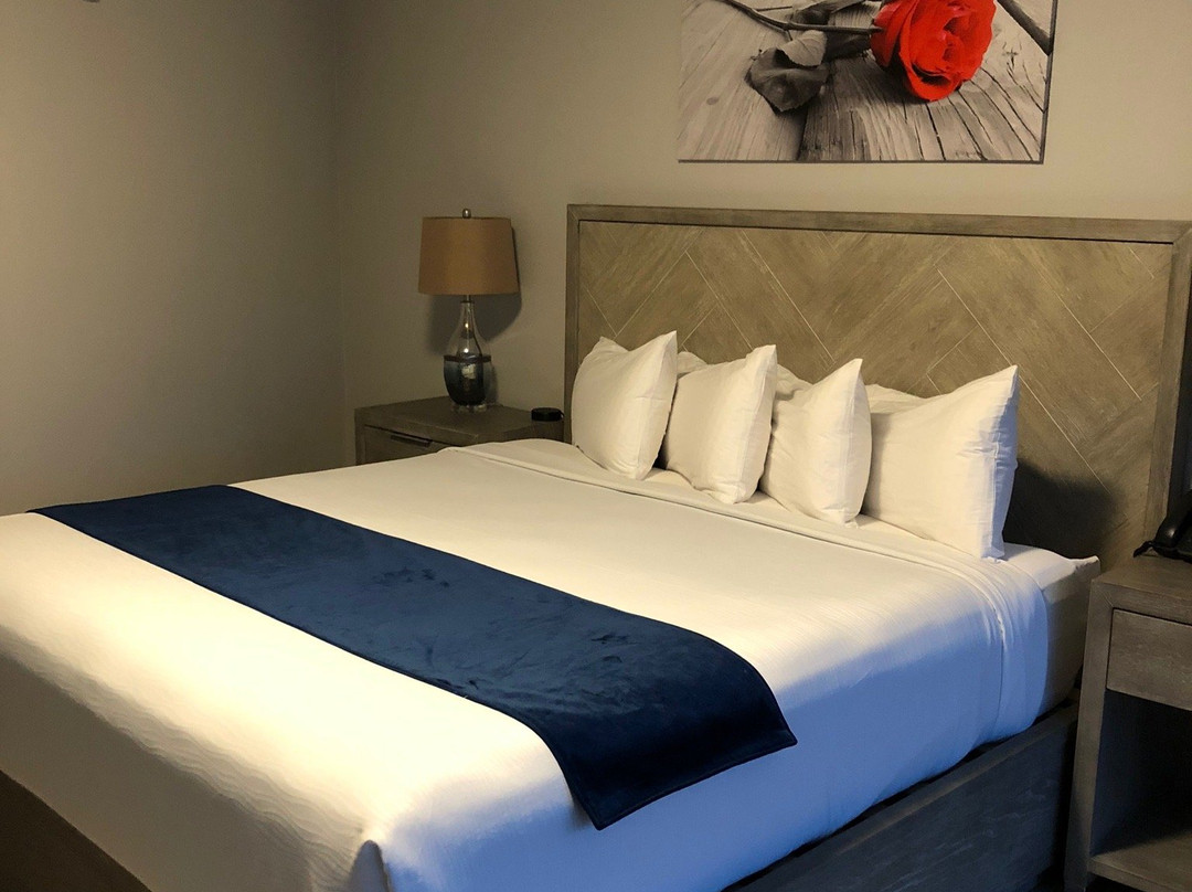 Athens Central Hotel主图