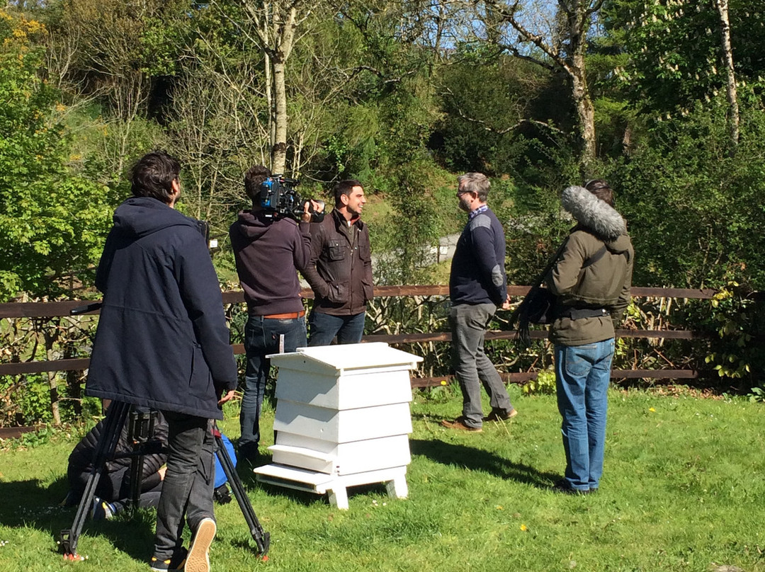 New Quay Honey Farm景点图片