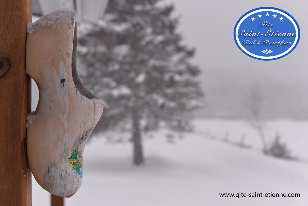 Gite Saint-Etienne Bed & Breakfast