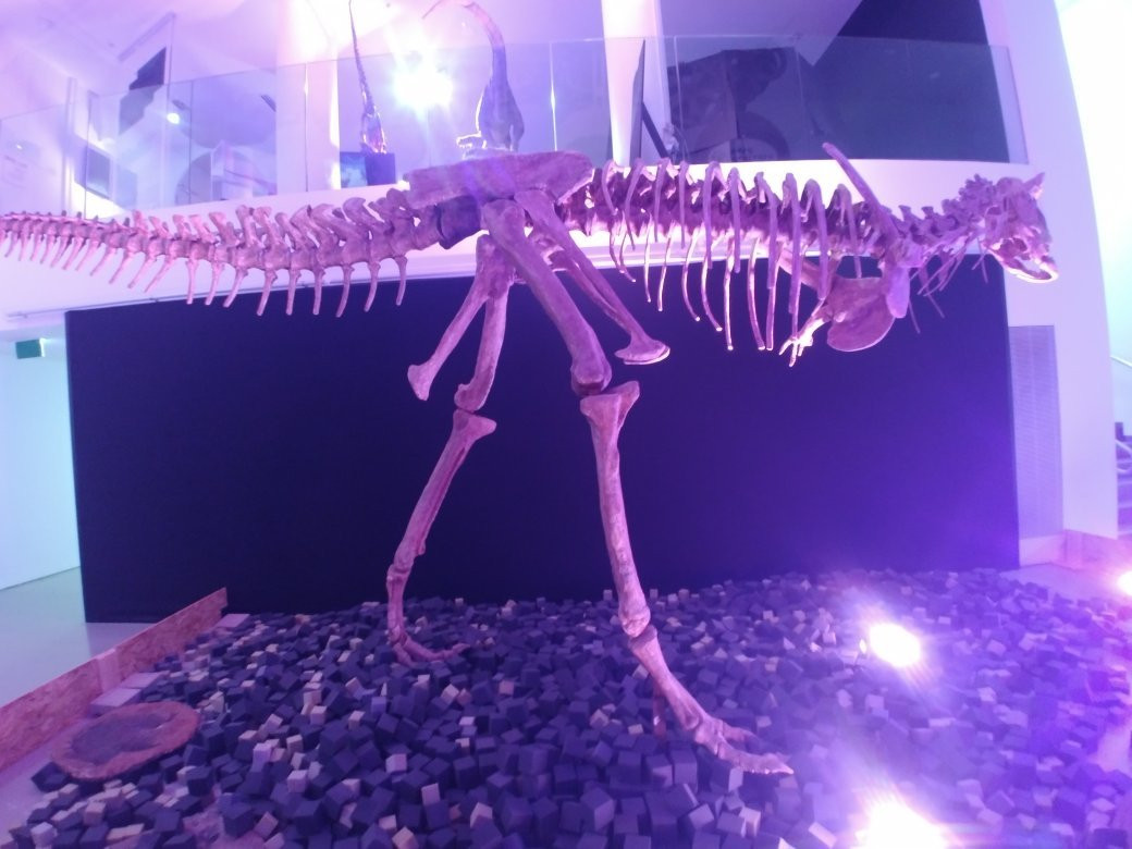 Carasso Science Park-贝尔谢巴必去景点