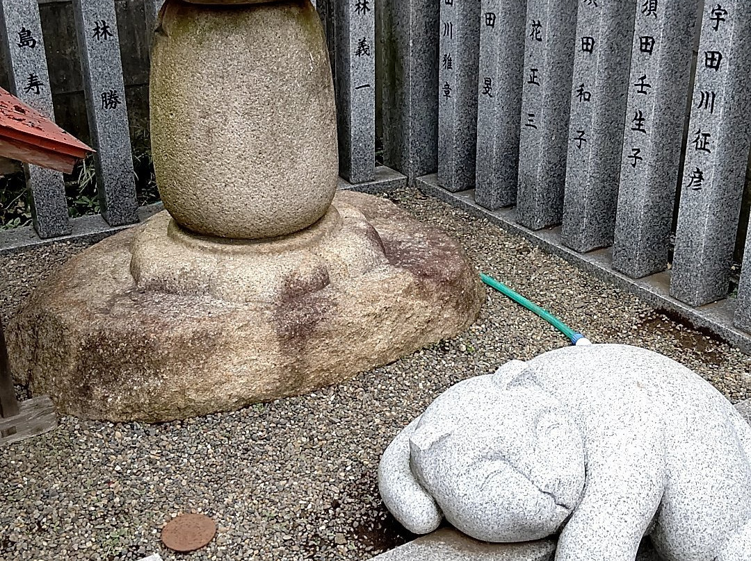 Ogikubo Hakusan Shrine-杉并区必去景点