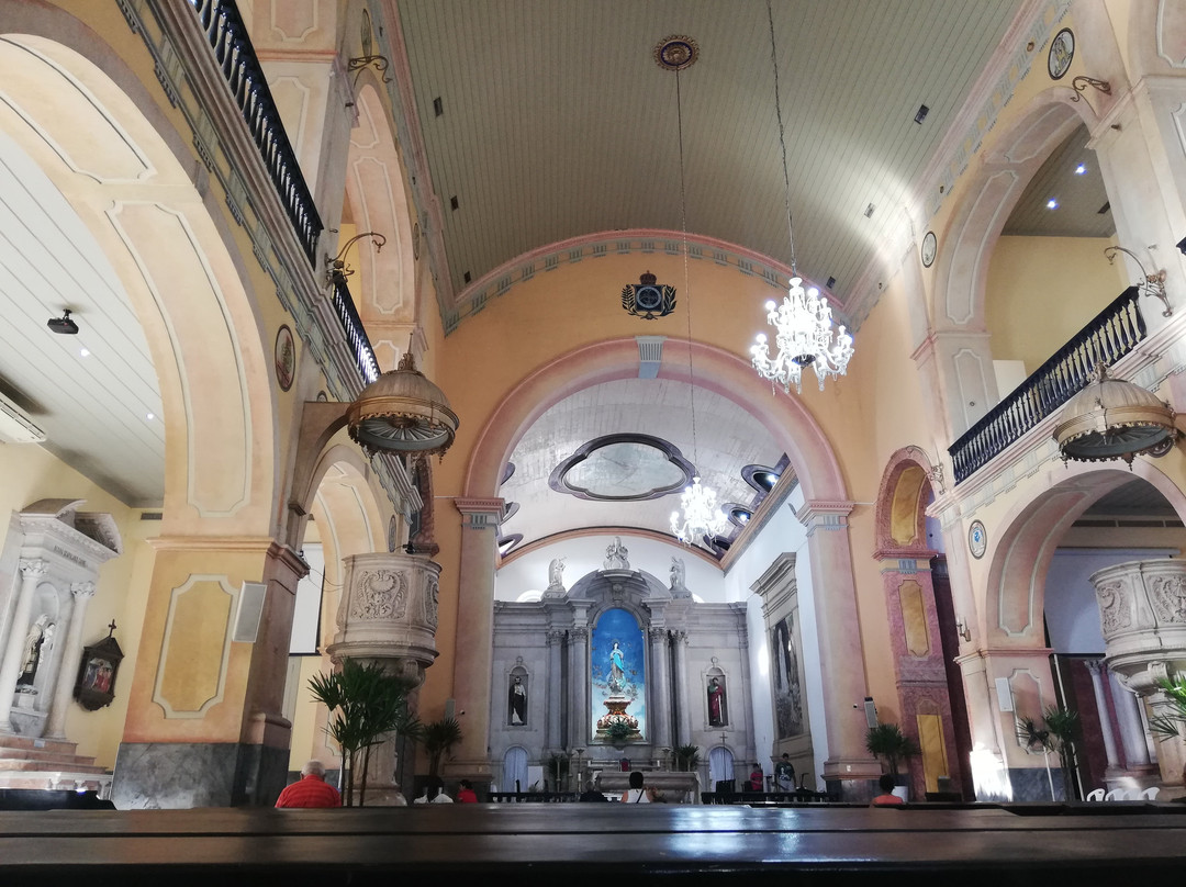 Catedral Metropolitana de Manaus景点图片