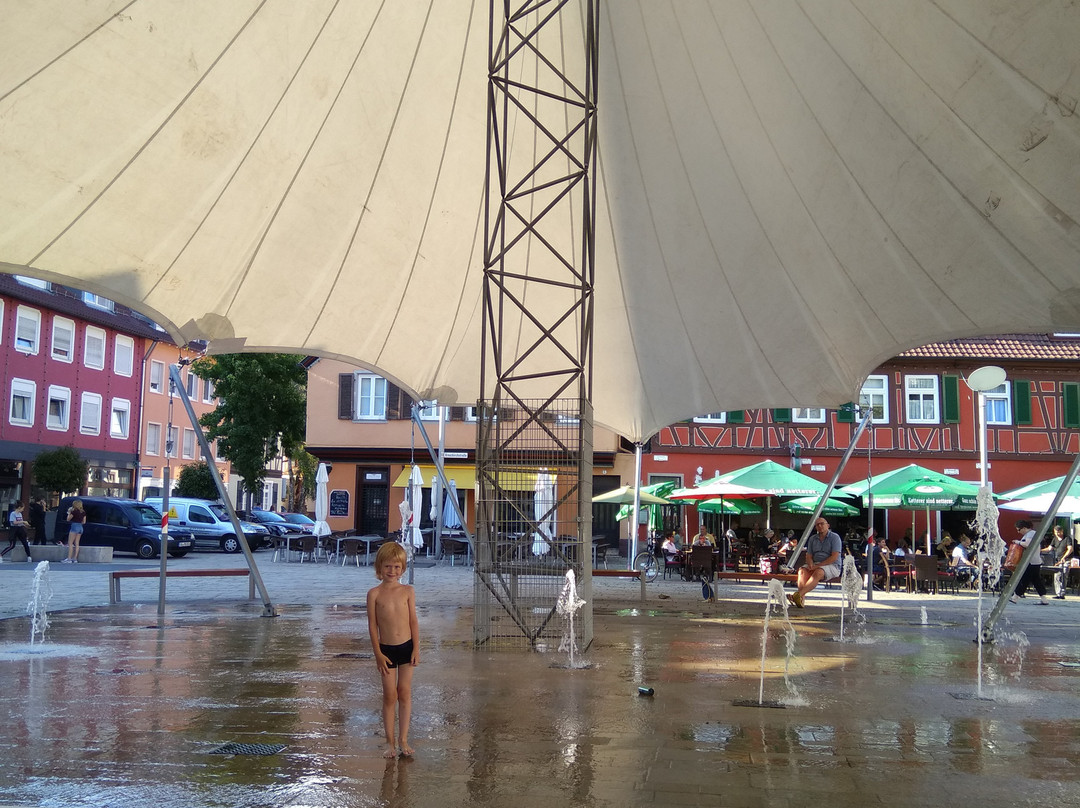 Offenburger Wochenmarkt-奥芬堡必去景点