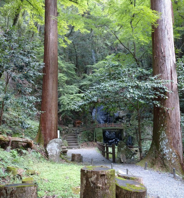 Torinji Temple景点图片